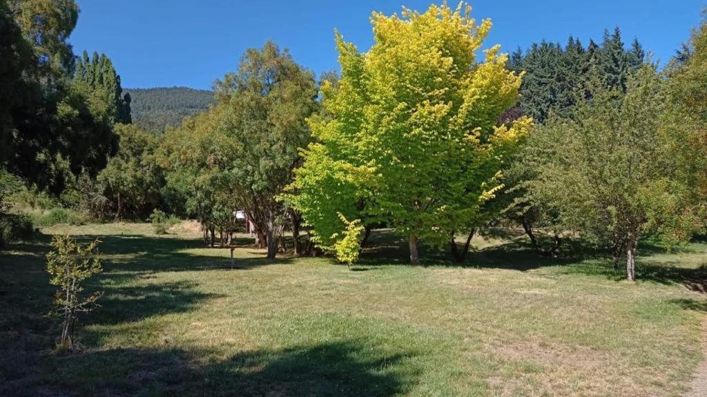 Rupu Pehuen San Carlos de Bariloche